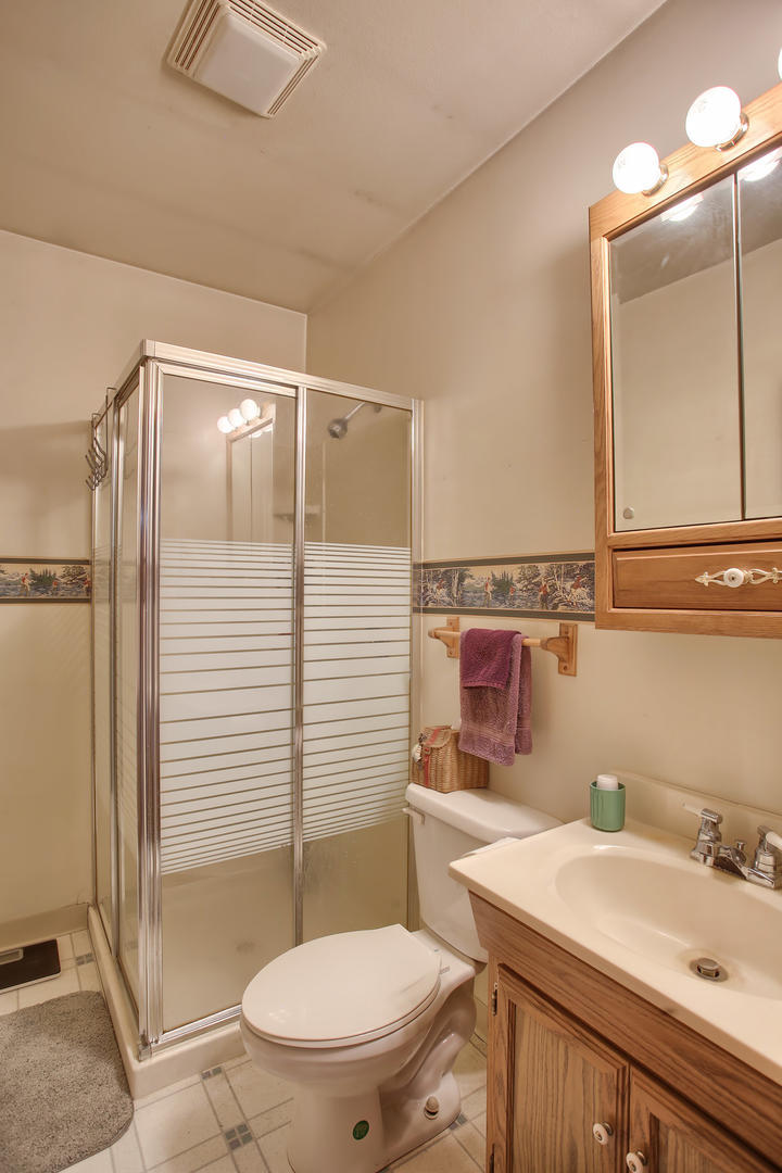 408 Kyle Street Ogden, IL 61859 - Photo 13 of 24 a bathroom with a sink toilet and shower