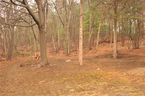 12 Haynes Road Framingham, MA 01701 - Photo 18 of 19 Gallery Image 18