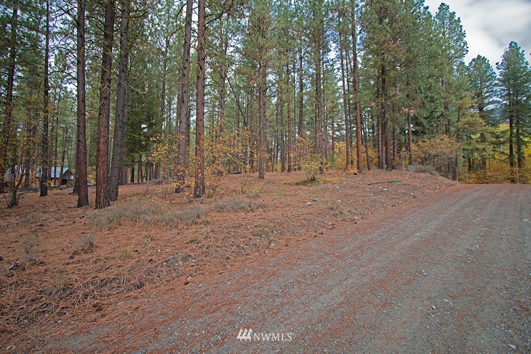 0 Homestead Road Winthrop, WA 98862 - Photo 10 of 13
