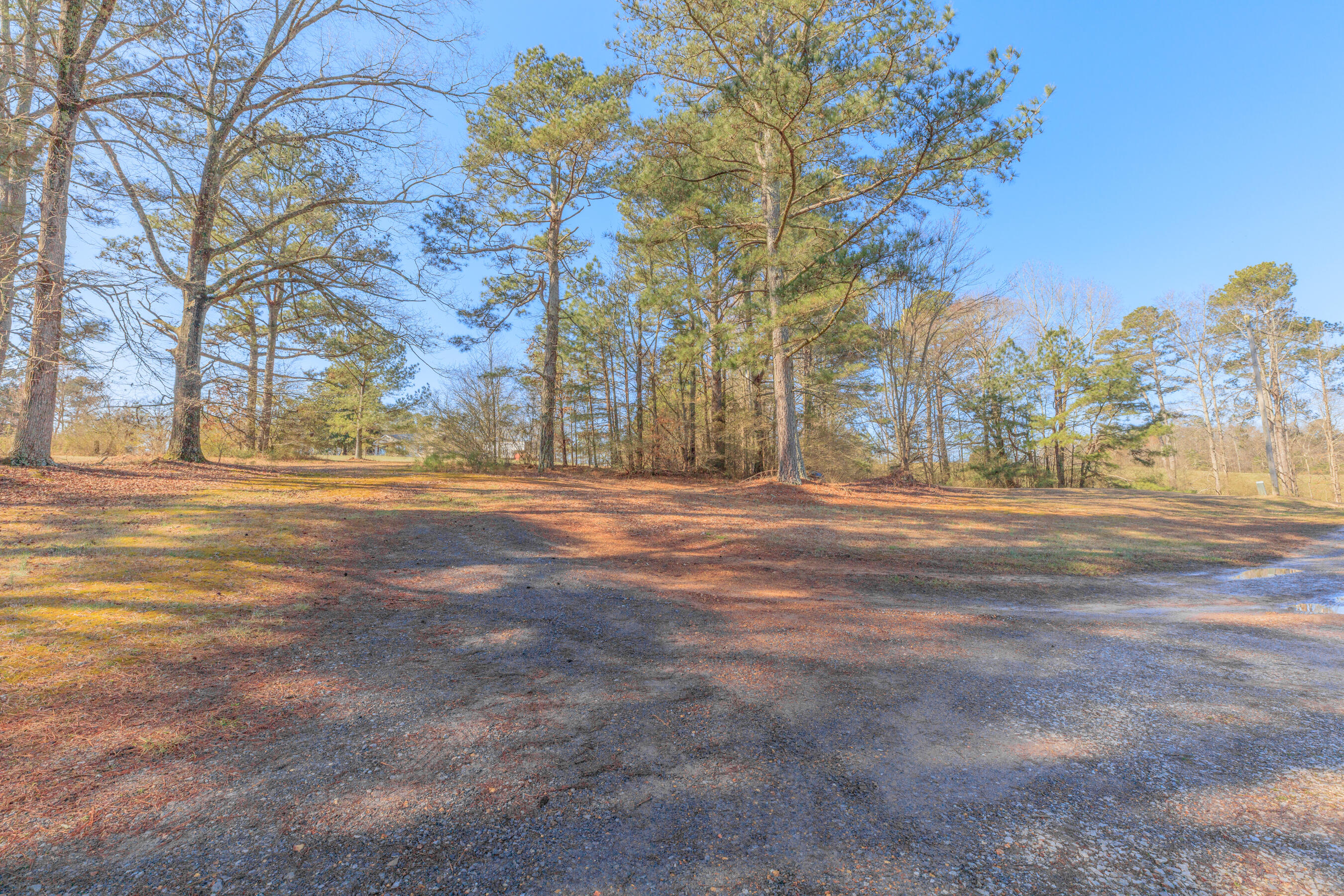 430 Kemp Road LaFayette, GA 30728 - Photo 21 of 68 430 Kemp Road HD-2
