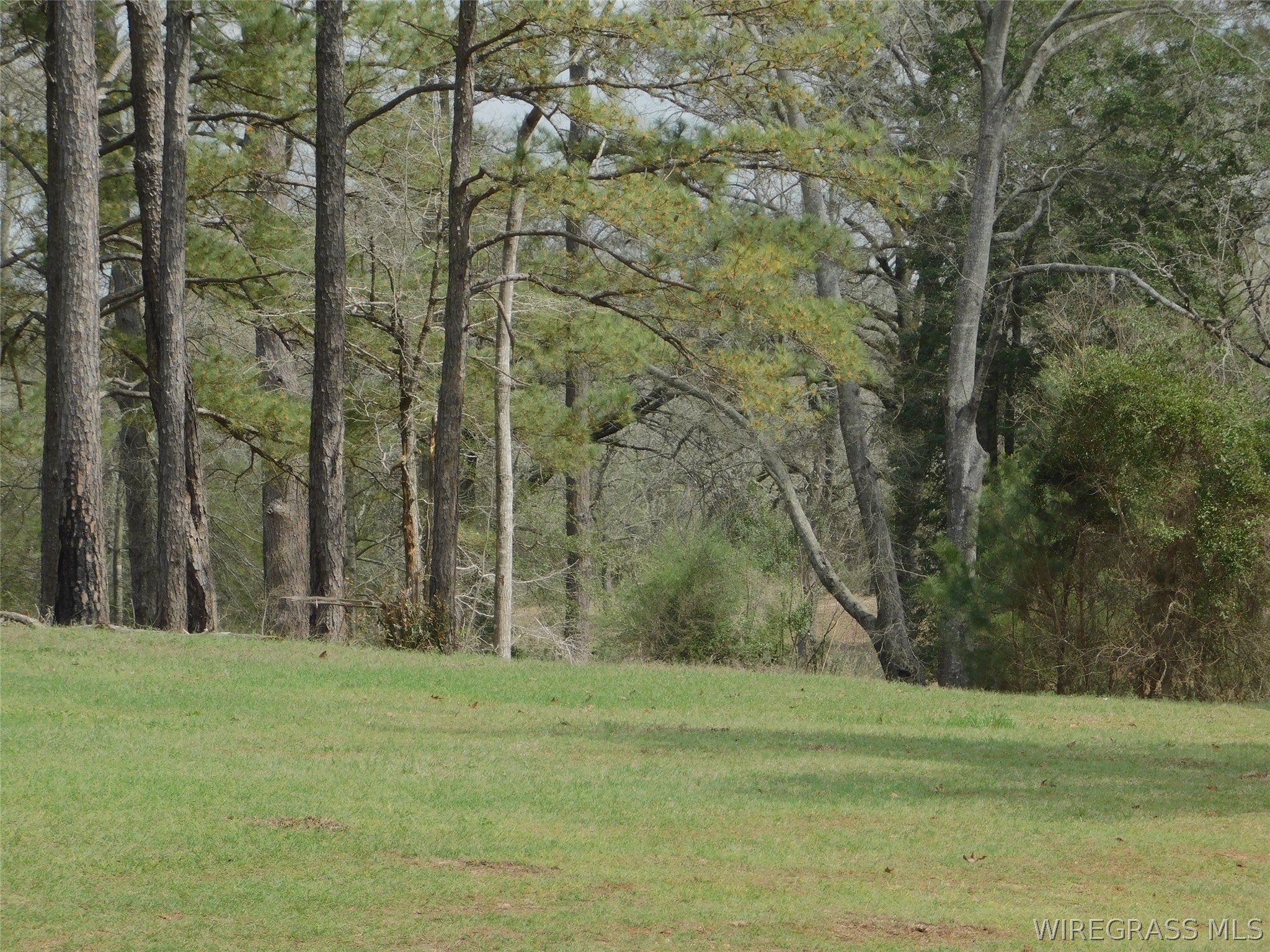7016 Jd Williamson Road Red Level, AL 36474 - Photo 26 of 39 Gallery Image 26