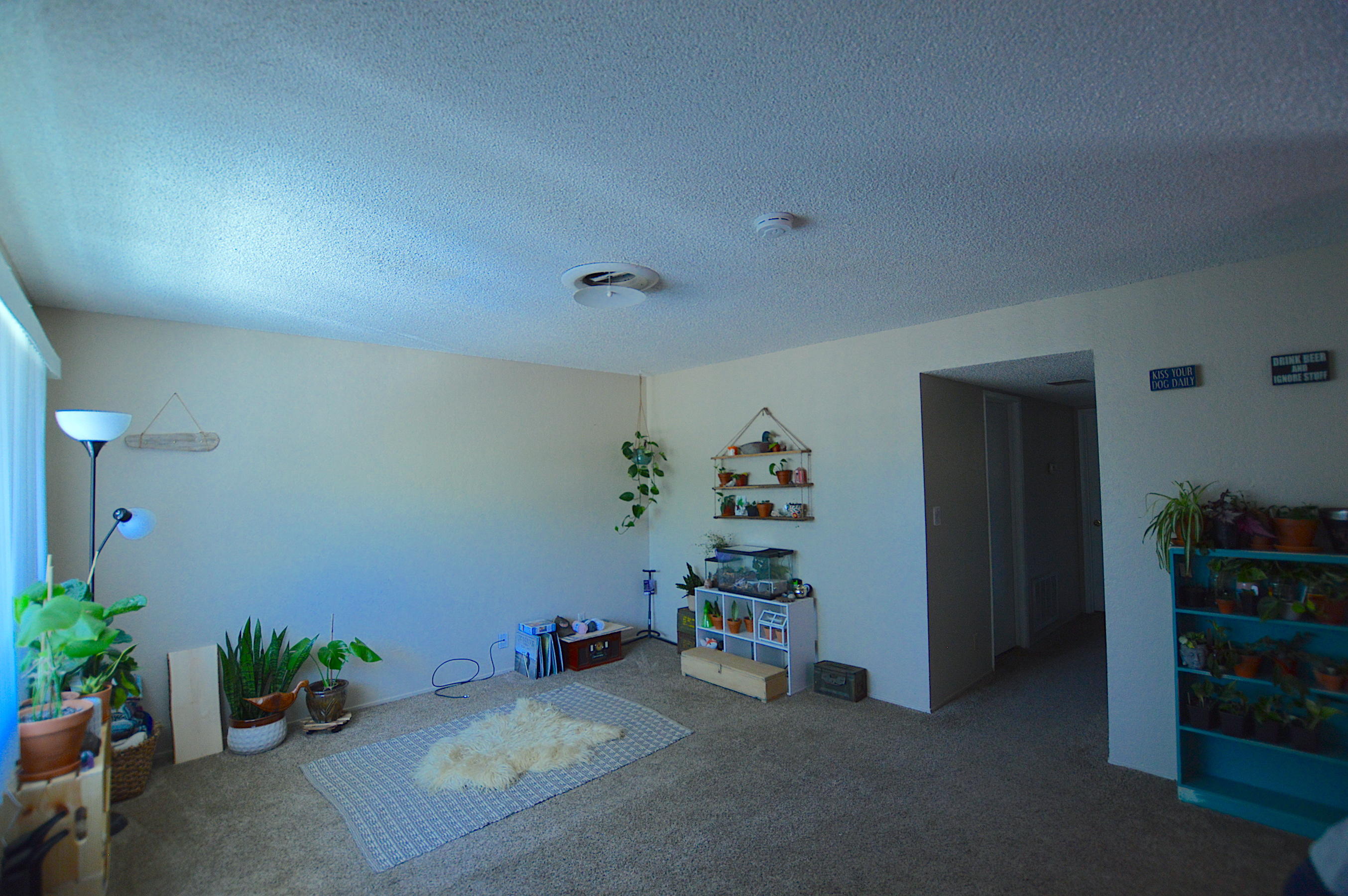 1005 Layton Road Redding, CA 96002 - Photo 11 of 17 a room with furniture and flowers