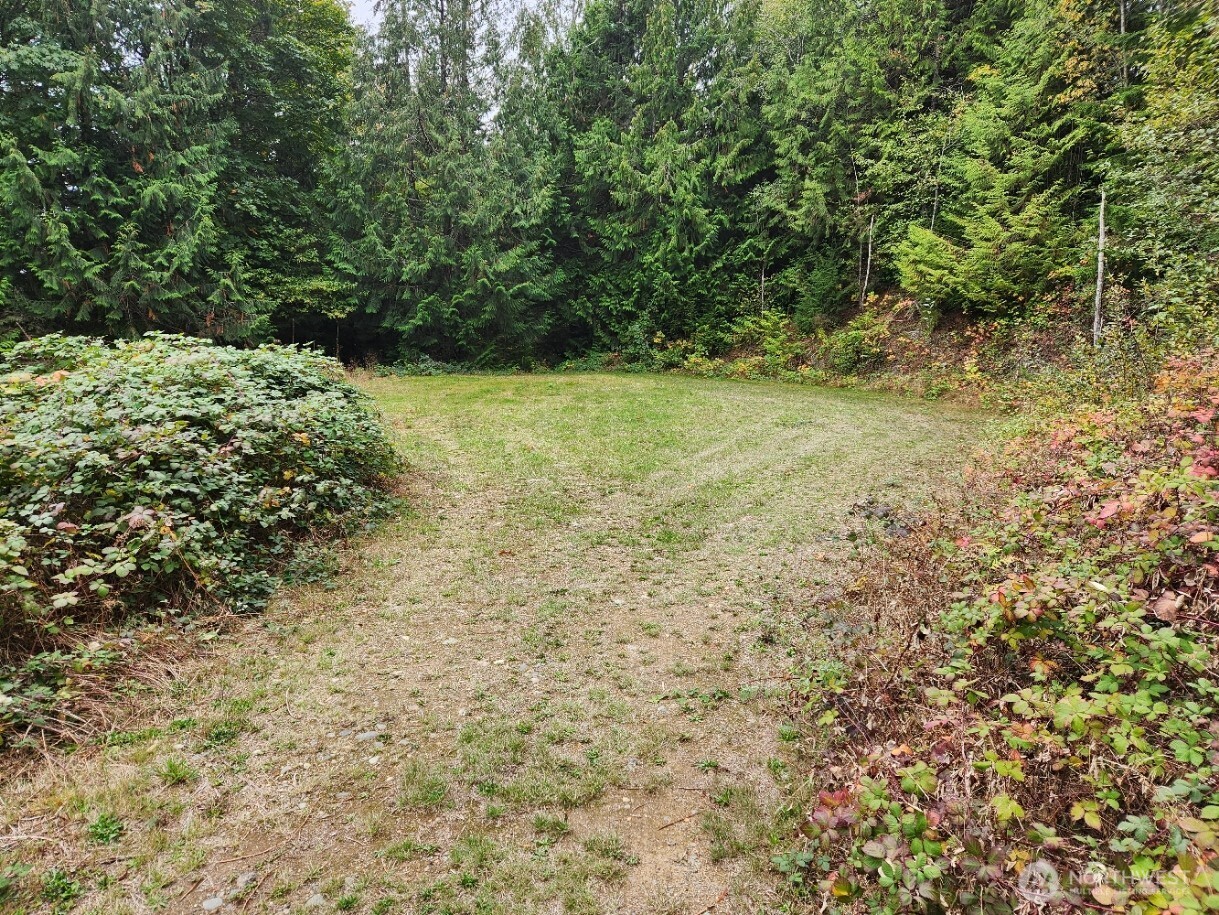 9999 Dusty Road Brinnon, WA 98320 - Photo 5 of 8 Gallery Image 5