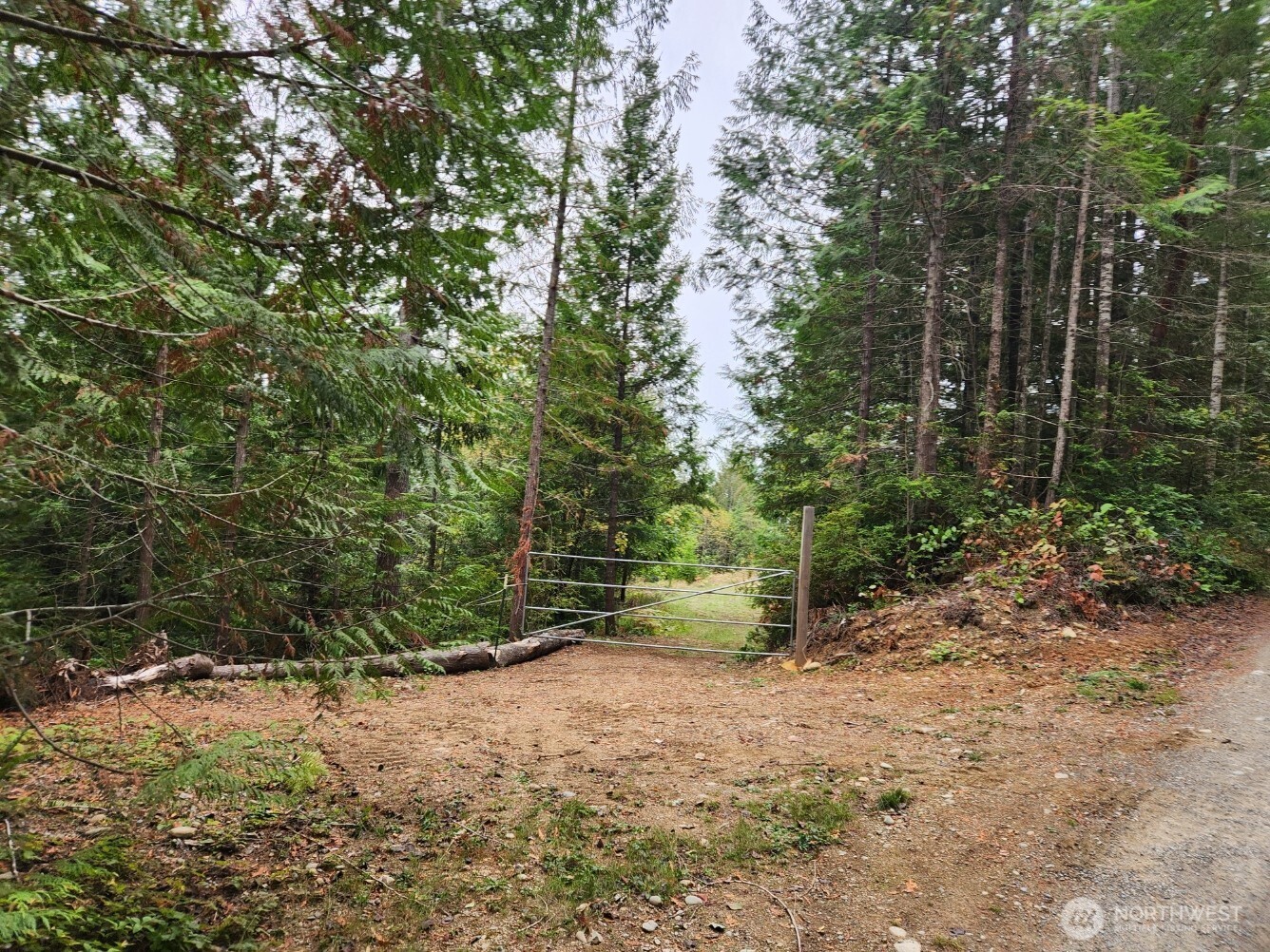 9999 Dusty Road Brinnon, WA 98320 - Photo 7 of 8 Gallery Image 7