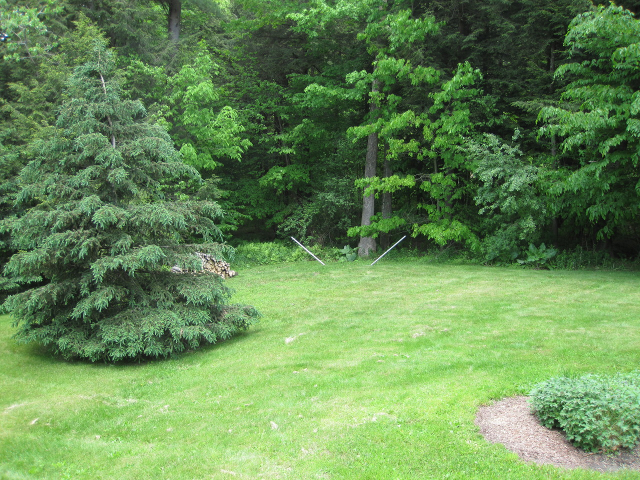 614 W Road Richmond, MA 01254 - Photo 19 of 19 a view of a green field with lots of bushes