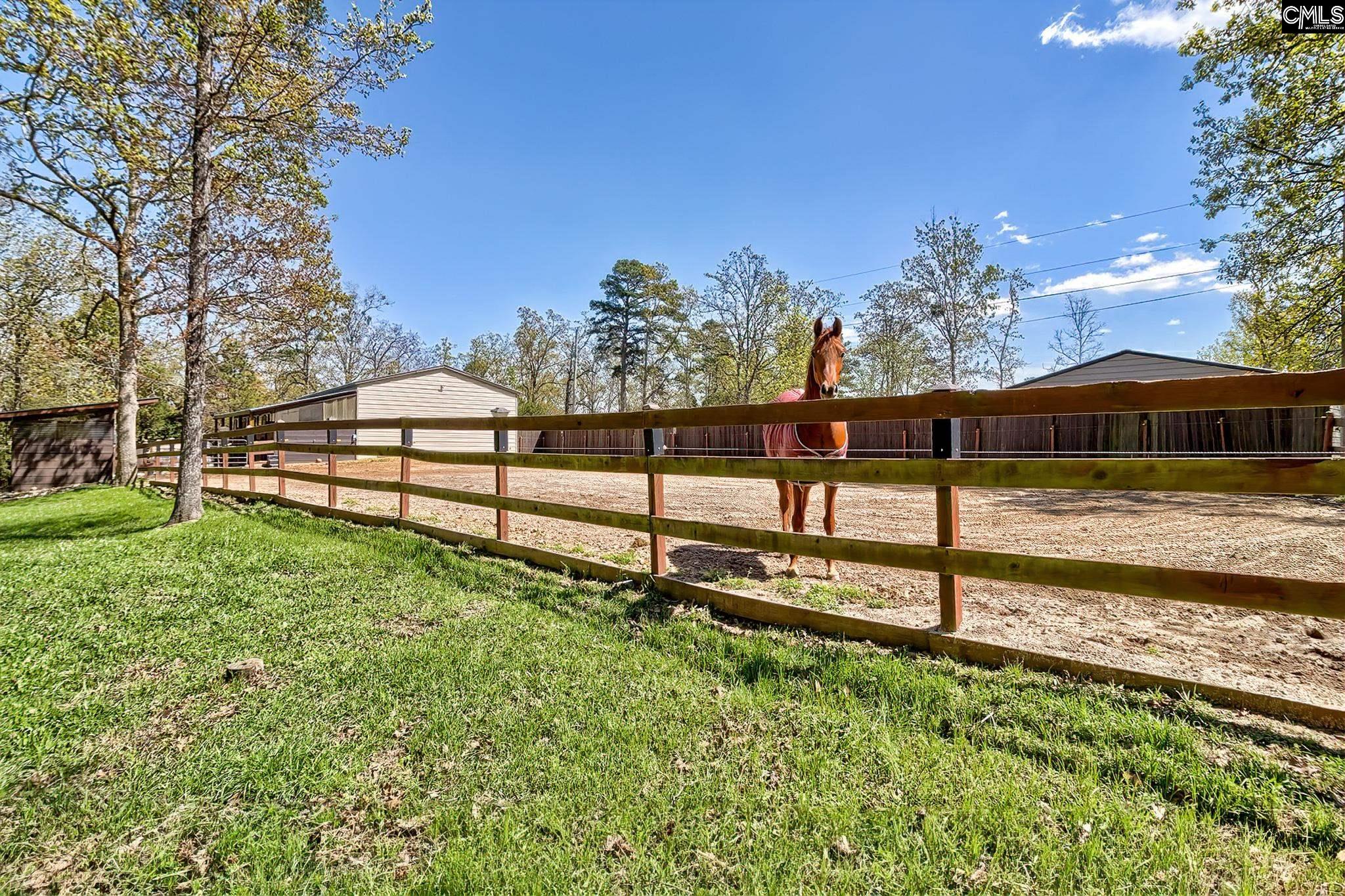 1305 Rock Island Road Gilbert, SC 29054 - Photo 10 of 58