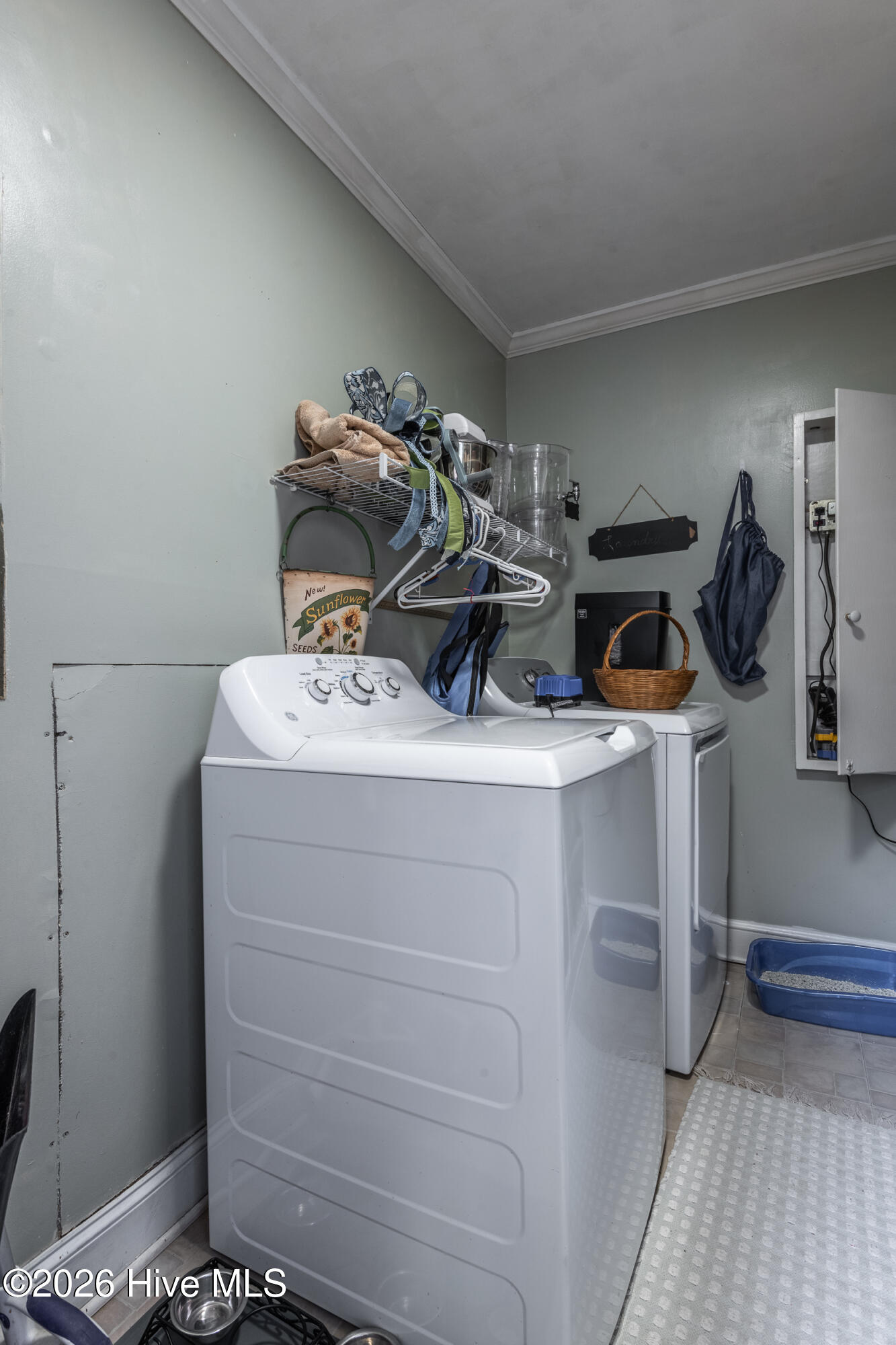 3793 Robinson Street Bethel, NC 27812 - Photo 58 of 59 3793_Robinson-58