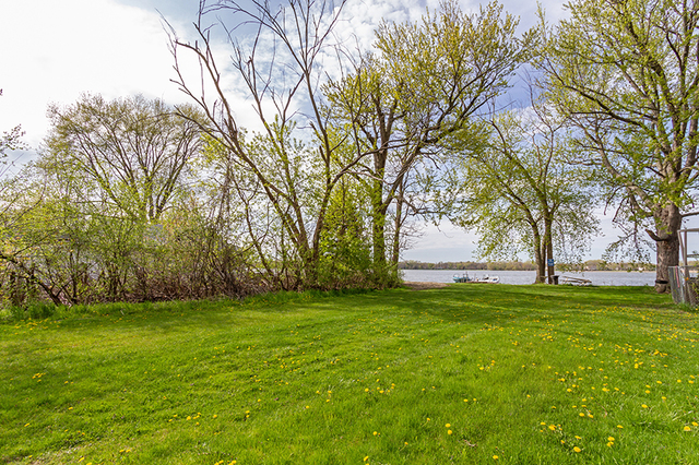 28406 West Park Avenue Wauconda, IL 60084 - Photo 1 of 7 a backyard of a house with lots of green space and trees