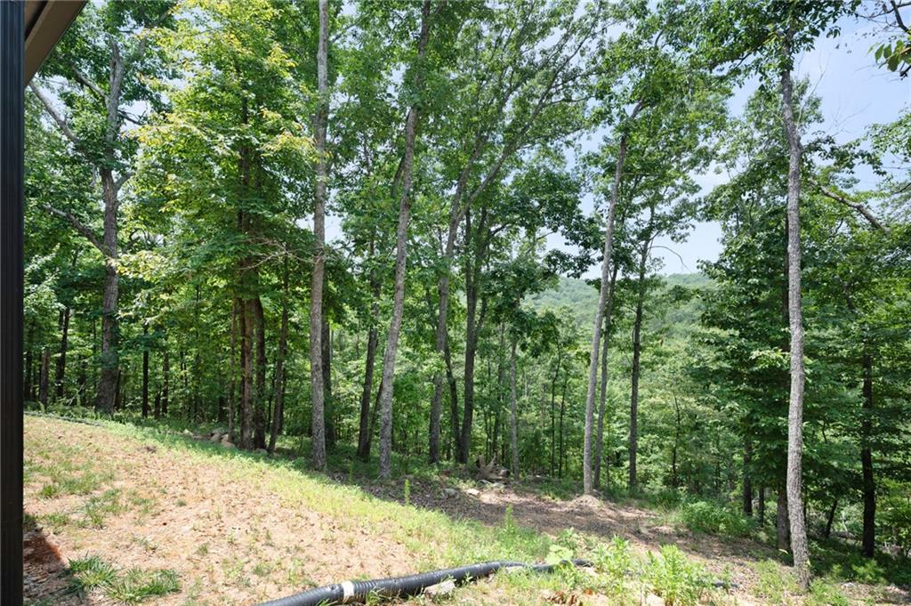 1390 Foxhound Trail Northeast Ranger, GA 30734 - Photo 30 of 39