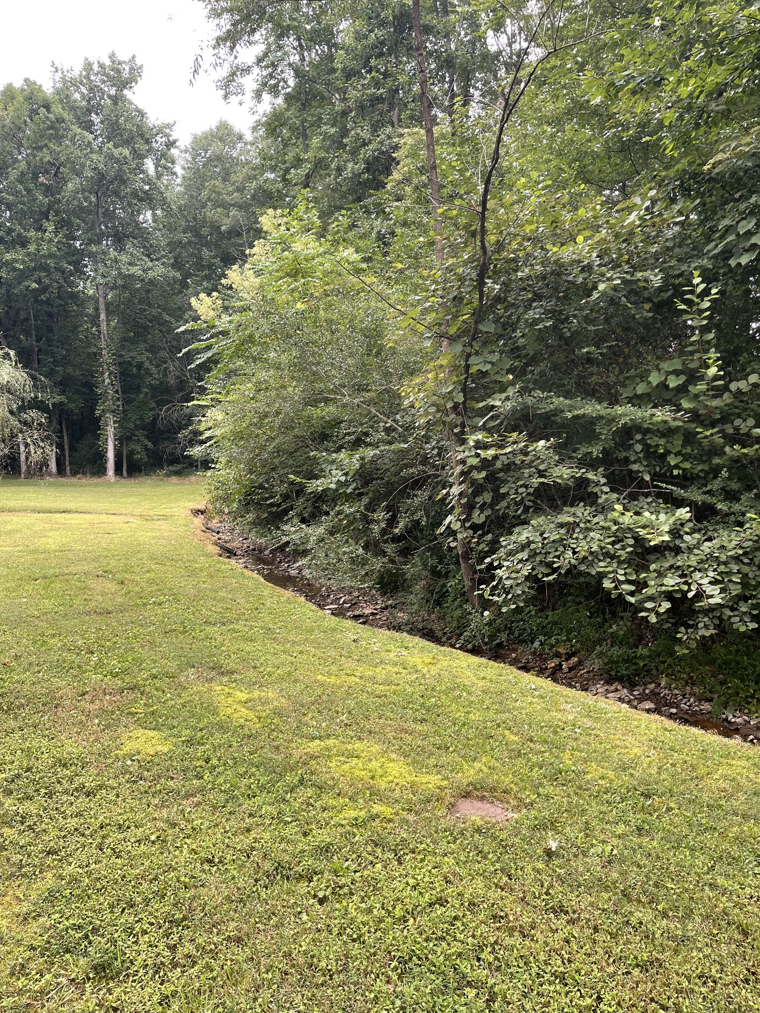 70 Price Jenkins Road Leoma, TN 38468 - Photo 8 of 36 a view of an ocean view