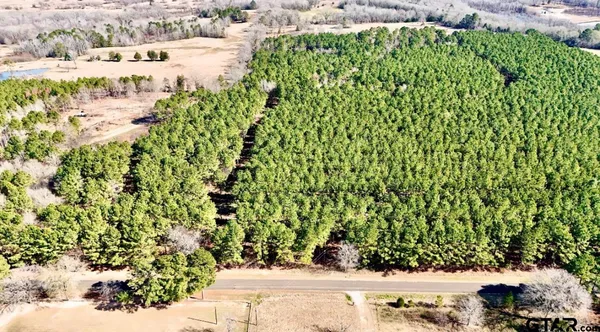 a view of a yard with plants