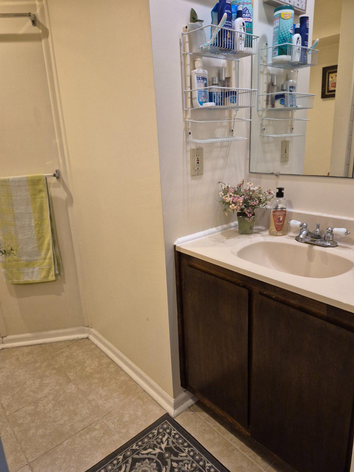 13806 Carter House Way, Unit 16145 Silver Spring, MD 20904 - Photo 29 of 45 Basement Vanity.