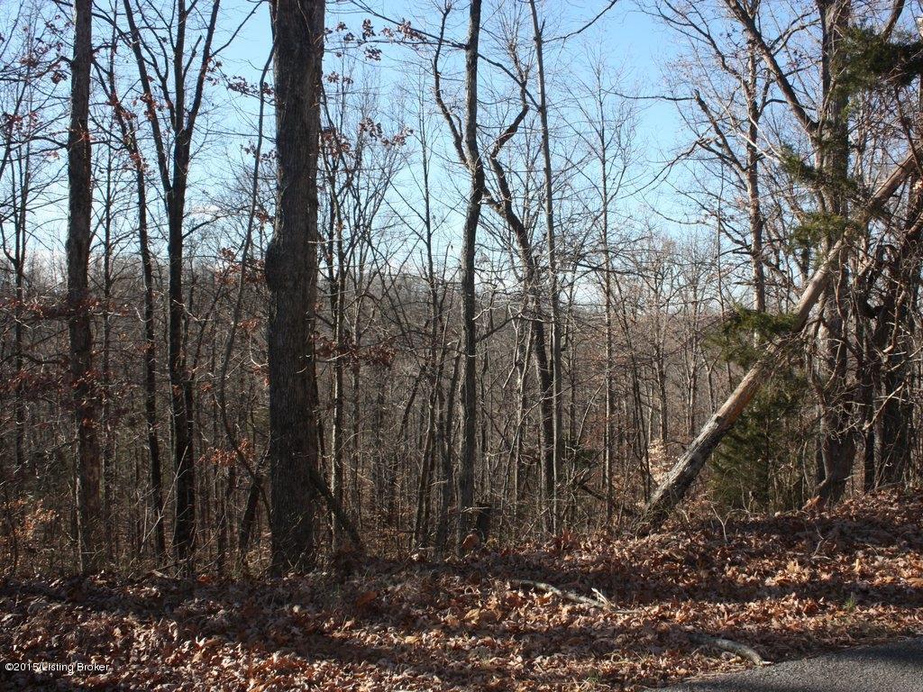 3106 Yeaman Olaton Road Olaton, KY 42361 - Photo 14 of 20 35Floyd Auction