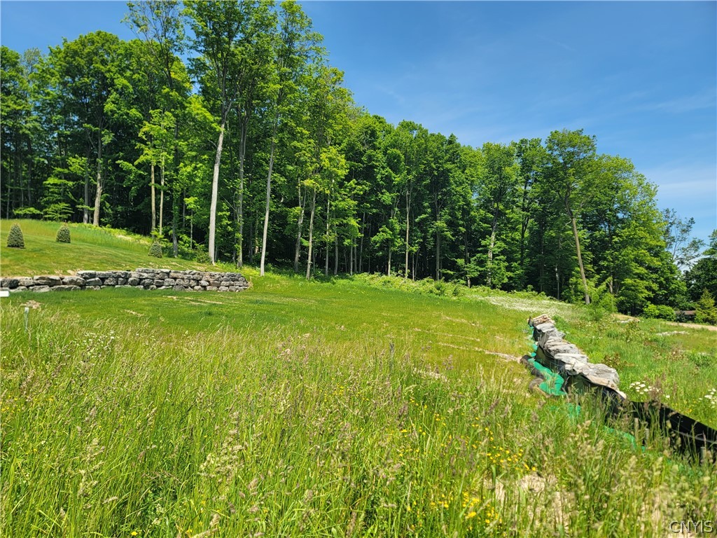 Lot 23 Baltimore Ridge Marcellus, NY 13108 - Photo 2 of 43