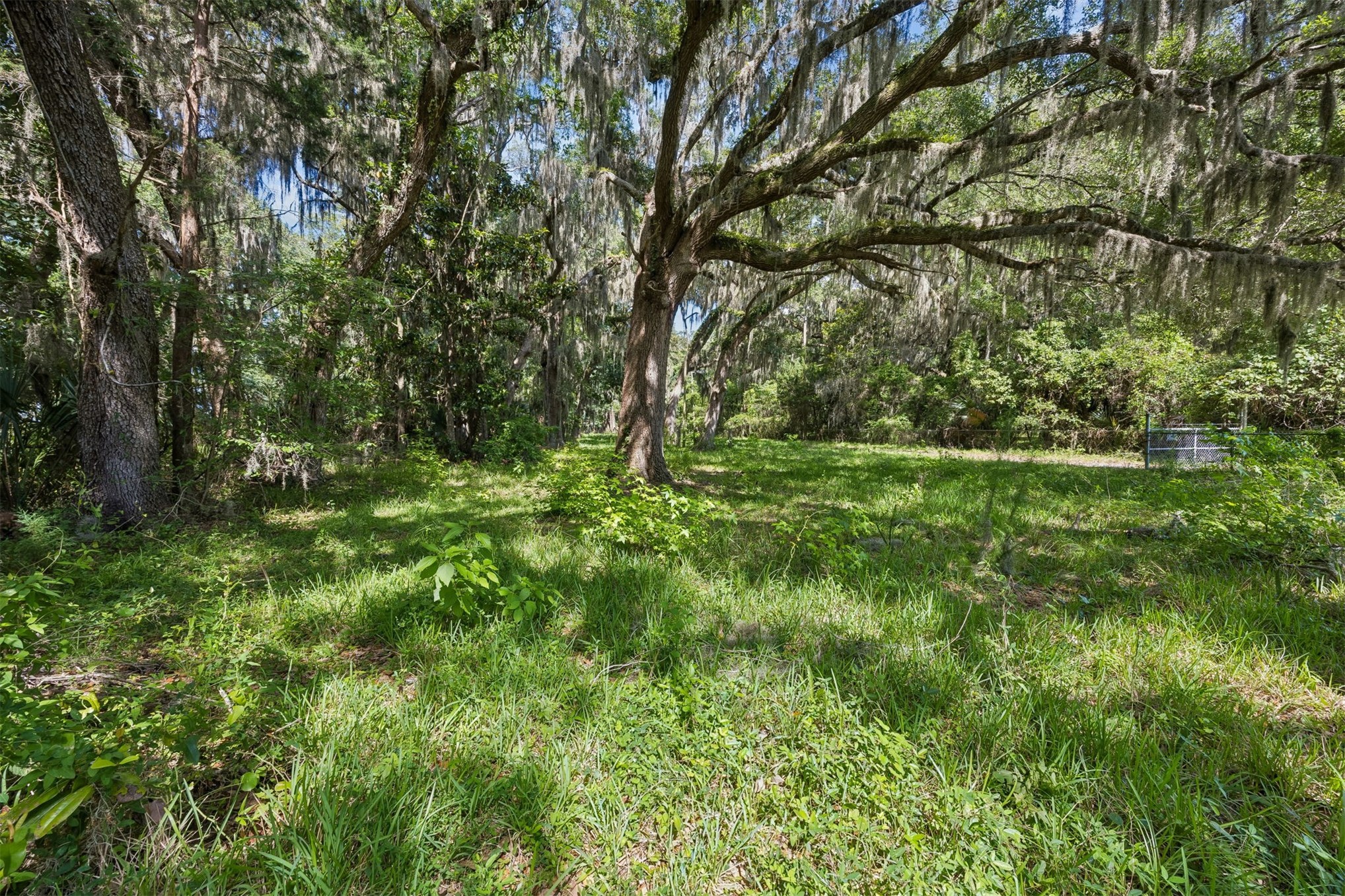 95096 Alligator Creek Road Fernandina Beach, FL 32034 - Photo 15 of 18