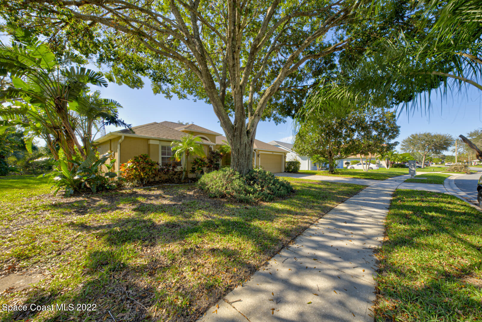 1241 Winding Meadows Road Rockledge, FL 32955 - Photo 7 of 54 front yard left