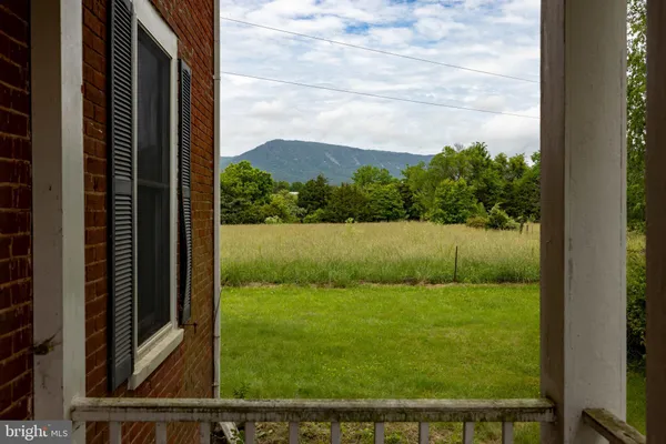 a view of a yard with a tree