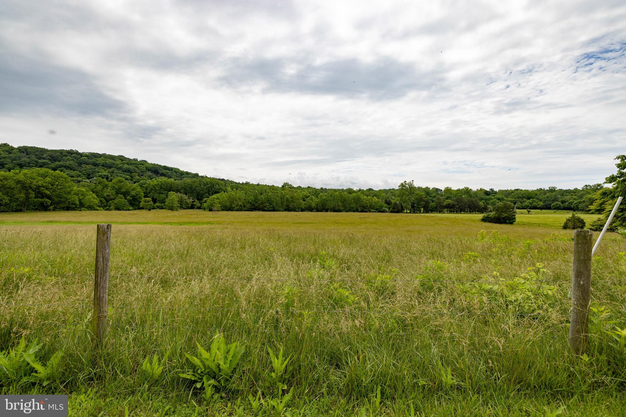 501 South Fork Road Luray, VA 22835 - Photo 47 of 79 a view of a lake with houses in the back