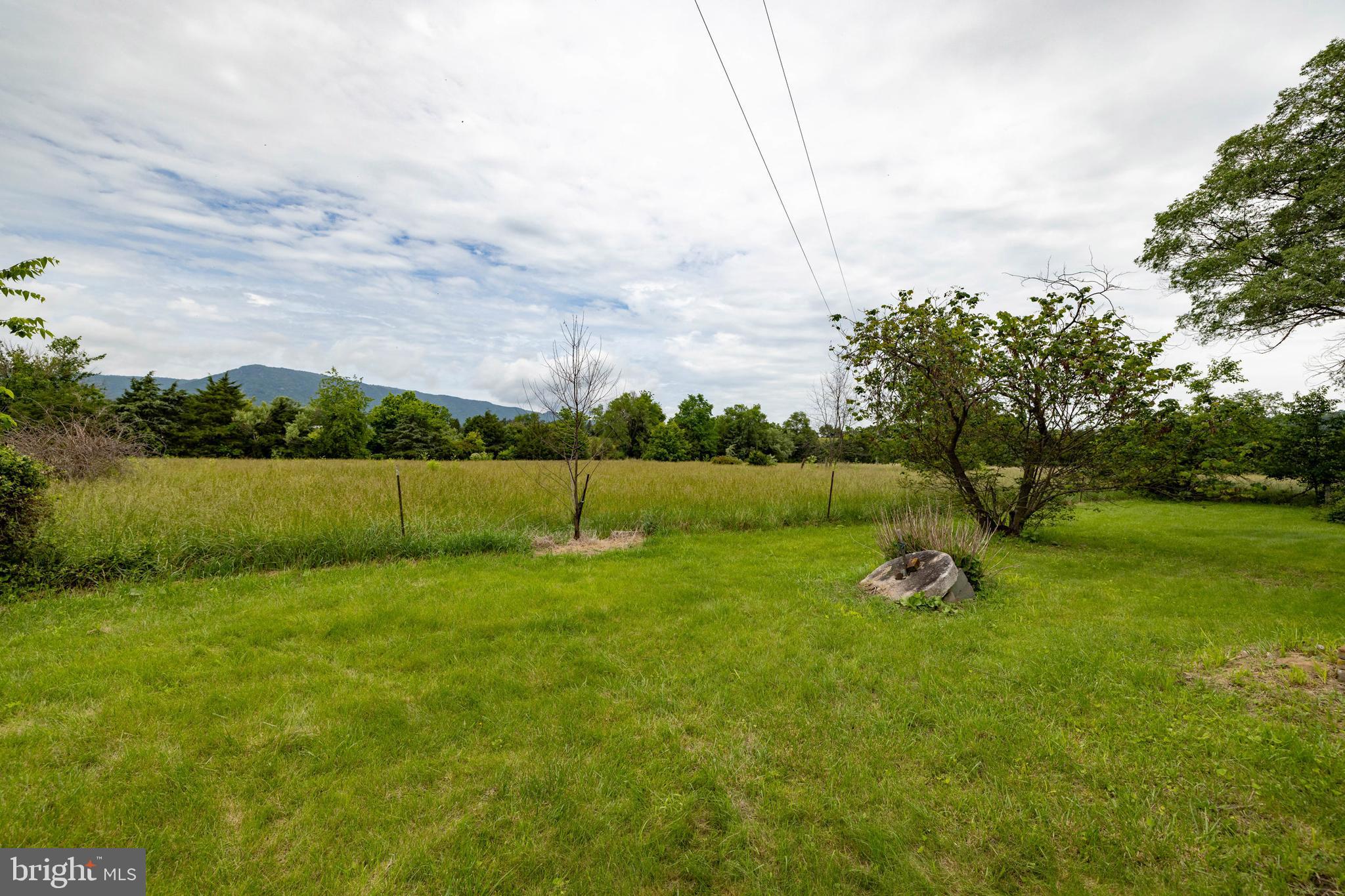 501 South Fork Road Luray, VA 22835 - Photo 48 of 79 a view of a golf course with a lake