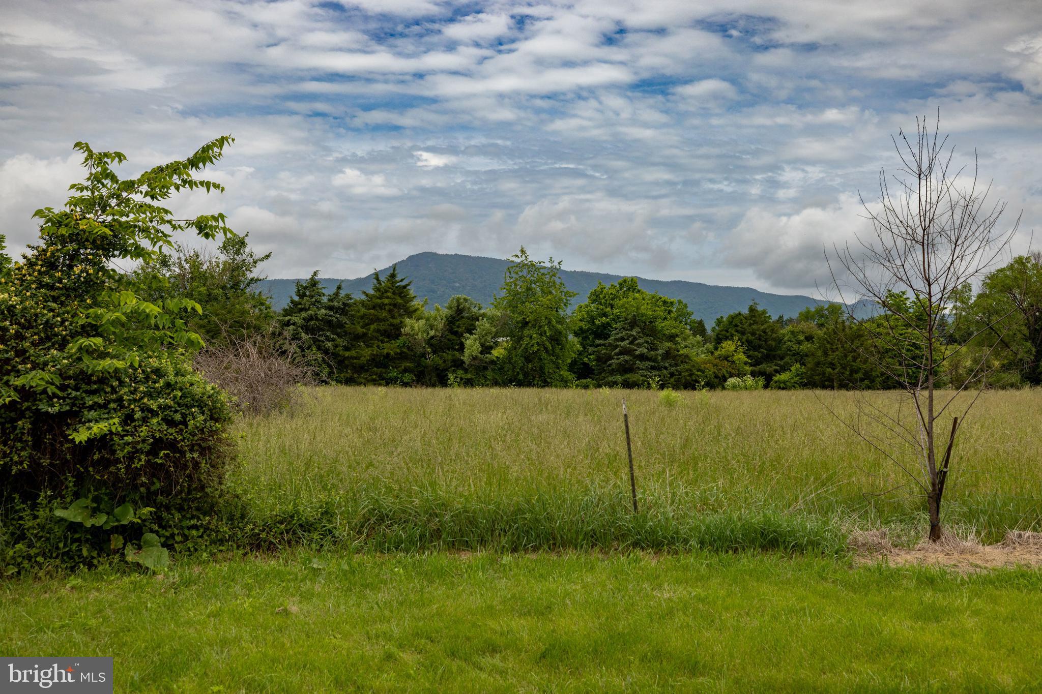 501 South Fork Road Luray, VA 22835 - Photo 51 of 79