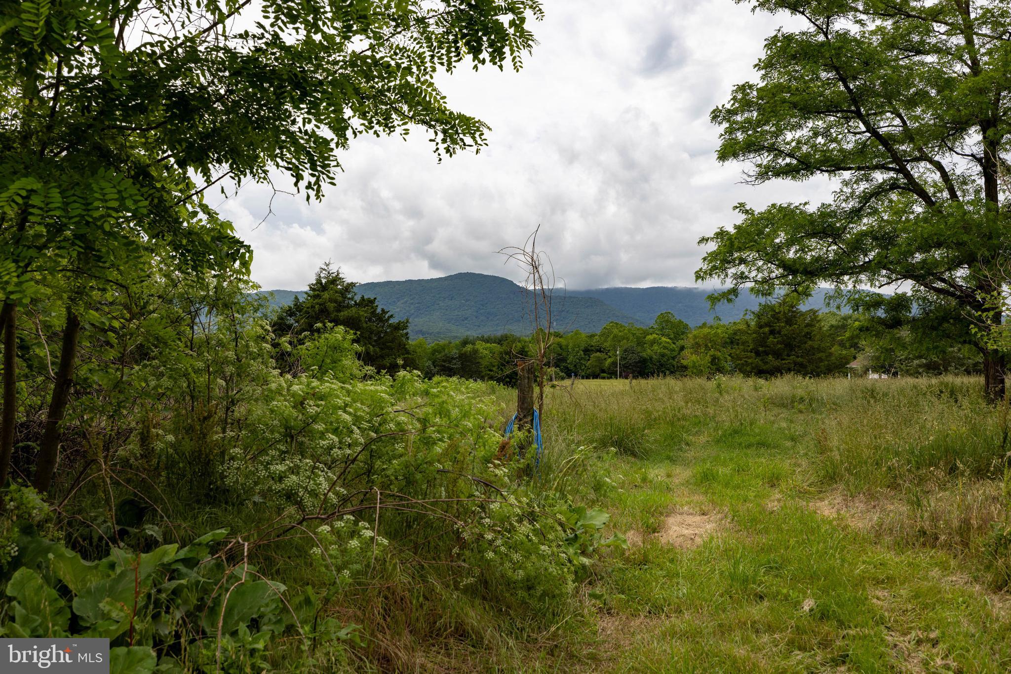 501 South Fork Road Luray, VA 22835 - Photo 54 of 79