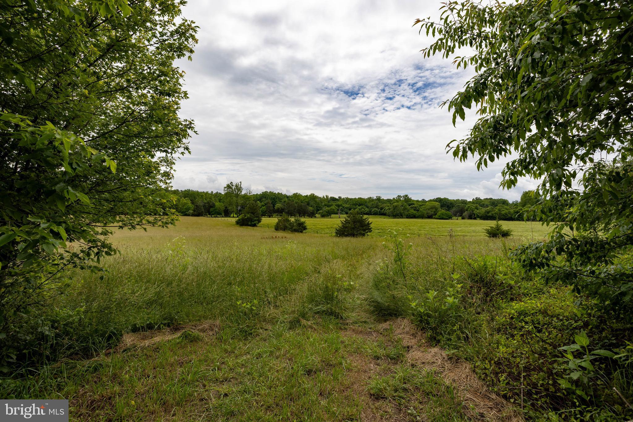 501 South Fork Road Luray, VA 22835 - Photo 55 of 79 a view of lake with green space