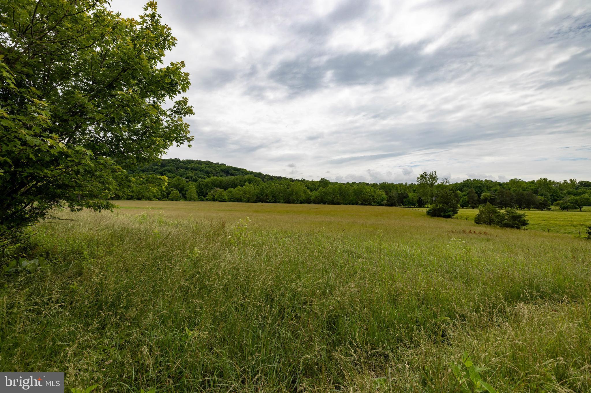 501 South Fork Road Luray, VA 22835 - Photo 56 of 79 a view of a lake and green valley