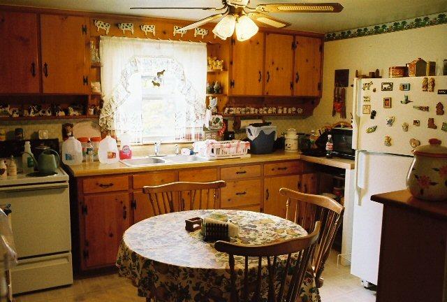 561 Leonard Farm Road Blue Ridge, VA 24064 - Photo 3 of 6 Eat In Kitchen