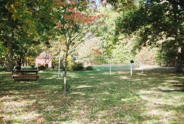 561 Leonard Farm Road Blue Ridge, VA 24064 - Photo 4 of 6 Park-Like Backyard