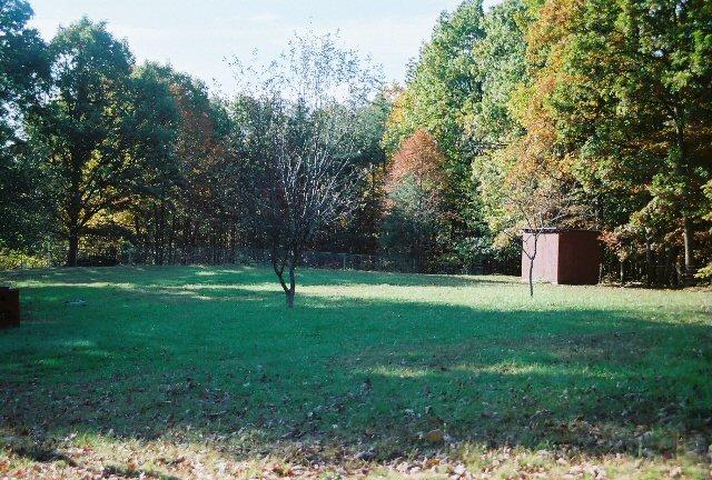 561 Leonard Farm Road Blue Ridge, VA 24064 - Photo 5 of 6 Park-Like Backyard