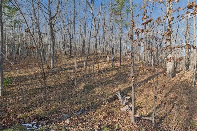 67863 Topside Road Iron River, WI 54847 - Photo 22 of 26