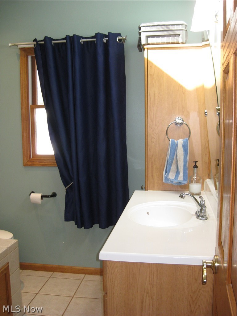 38 Adams Avenue Rittman, OH 44270 - Photo 21 of 35 Main Bath with skylight