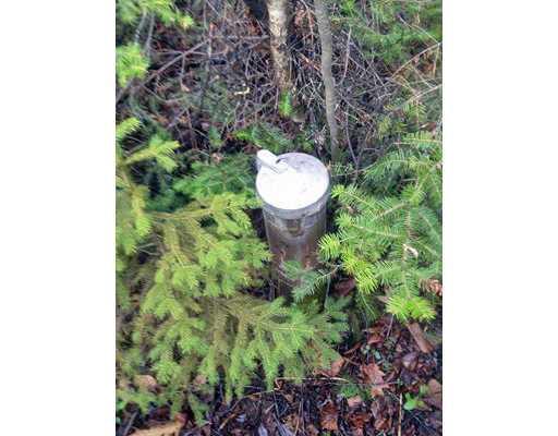 78 Lapoint Road Stetson, ME 04488 - Photo 16 of 20 Other.