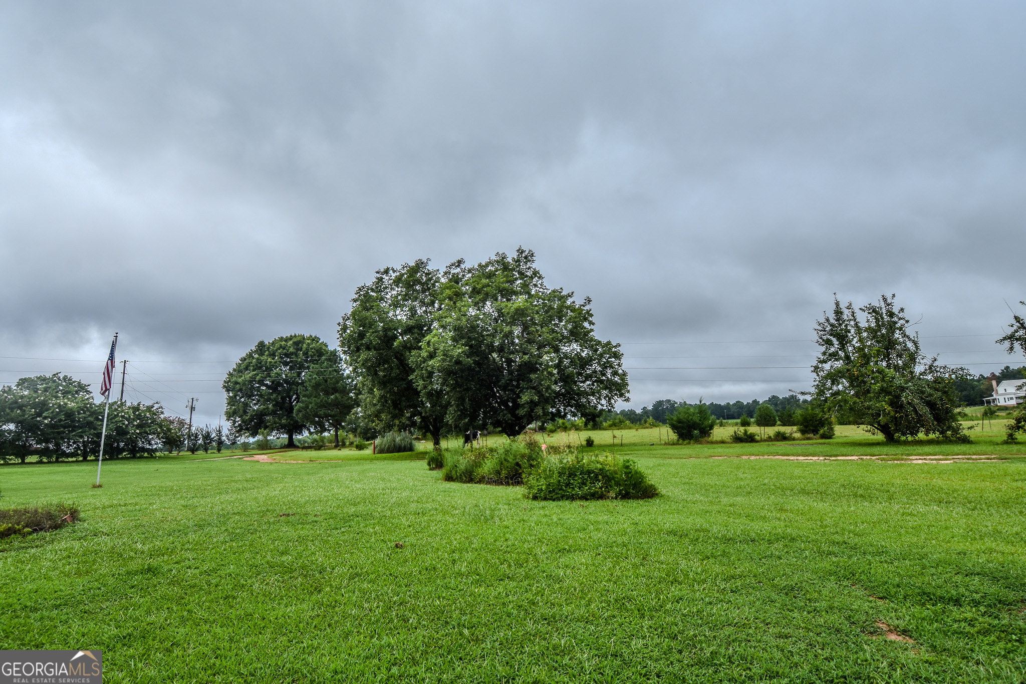 223 Ward Road Williamson, GA 30292 - Photo 19 of 51 a view of a grassy field