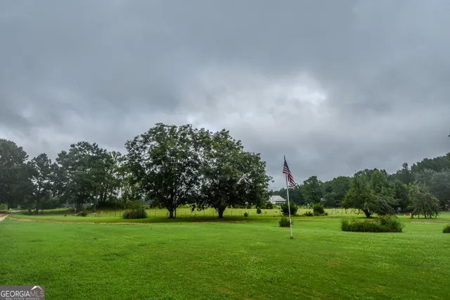 a view of a green field
