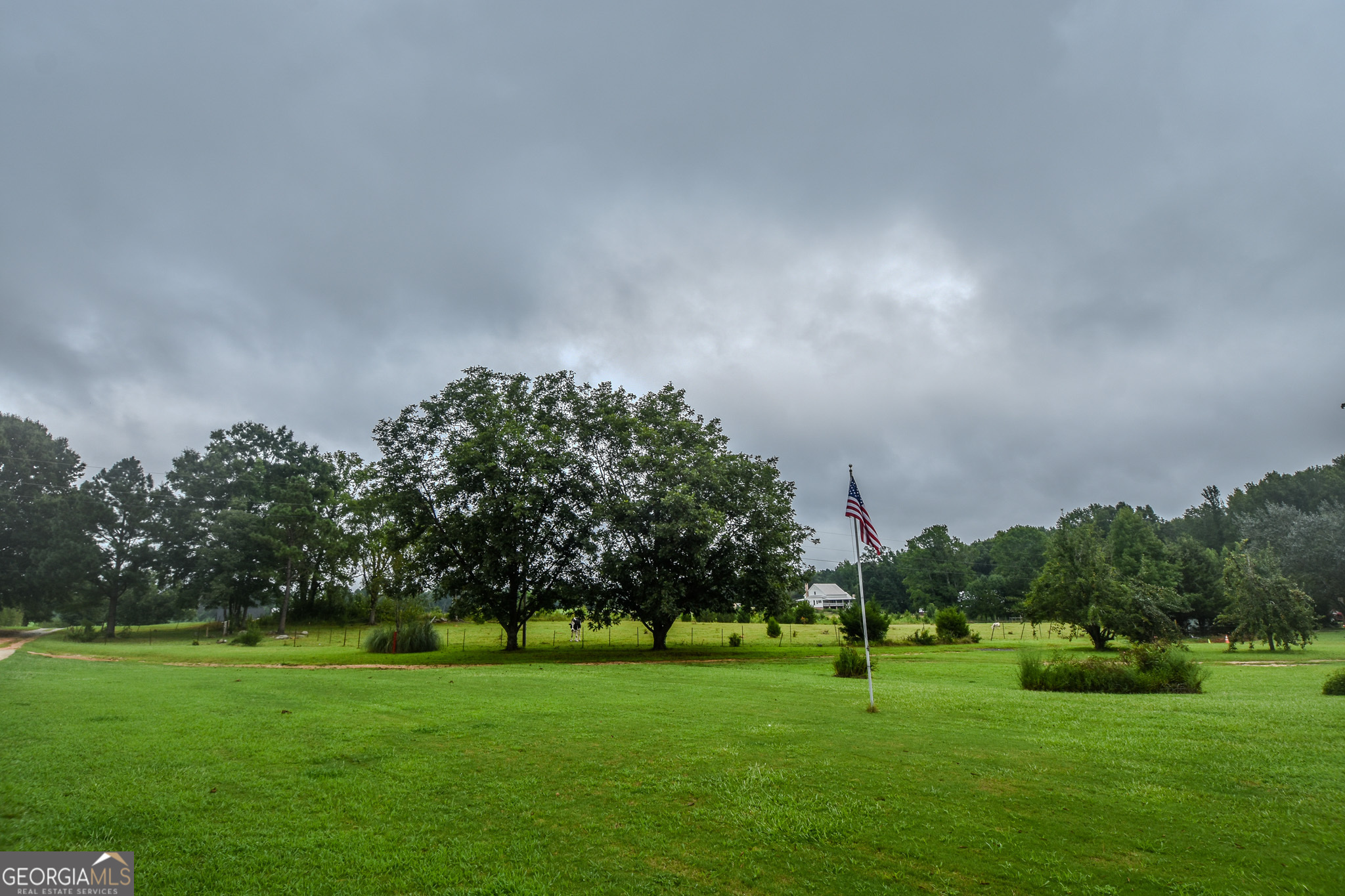 223 Ward Road Williamson, GA 30292 - Photo 5 of 51 a view of a green field