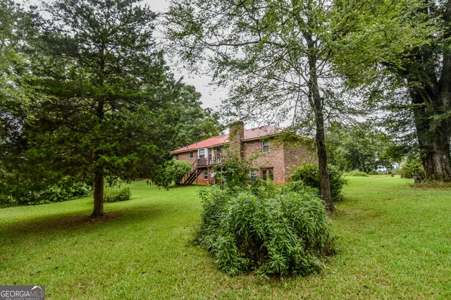 a view of a garden with large trees