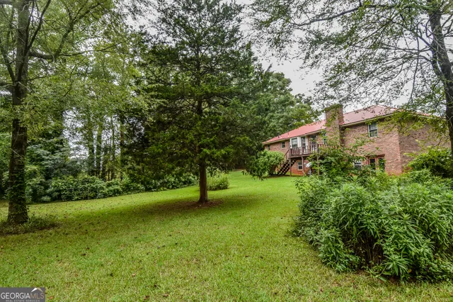 a view of a trees in a yard