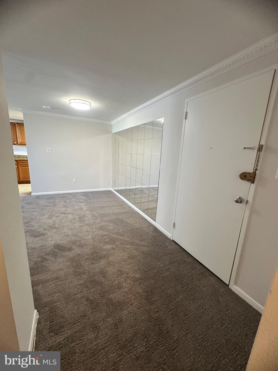 4600 Duke Street, Unit 701 Alexandria, VA 22304 - Photo 22 of 36 Spacious entryway with modern charm.