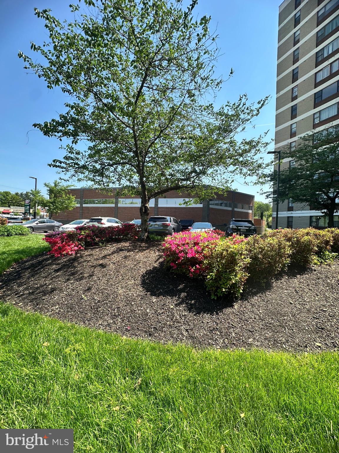 4600 Duke Street, Unit 701 Alexandria, VA 22304 - Photo 36 of 36 Vibrant blooms in a sunny landscape.
