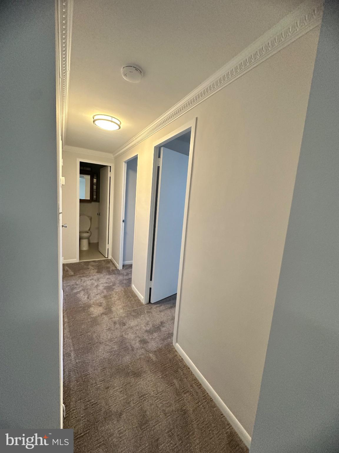 4600 Duke Street, Unit 701 Alexandria, VA 22304 - Photo 10 of 36 Bright and inviting hallway retreat.