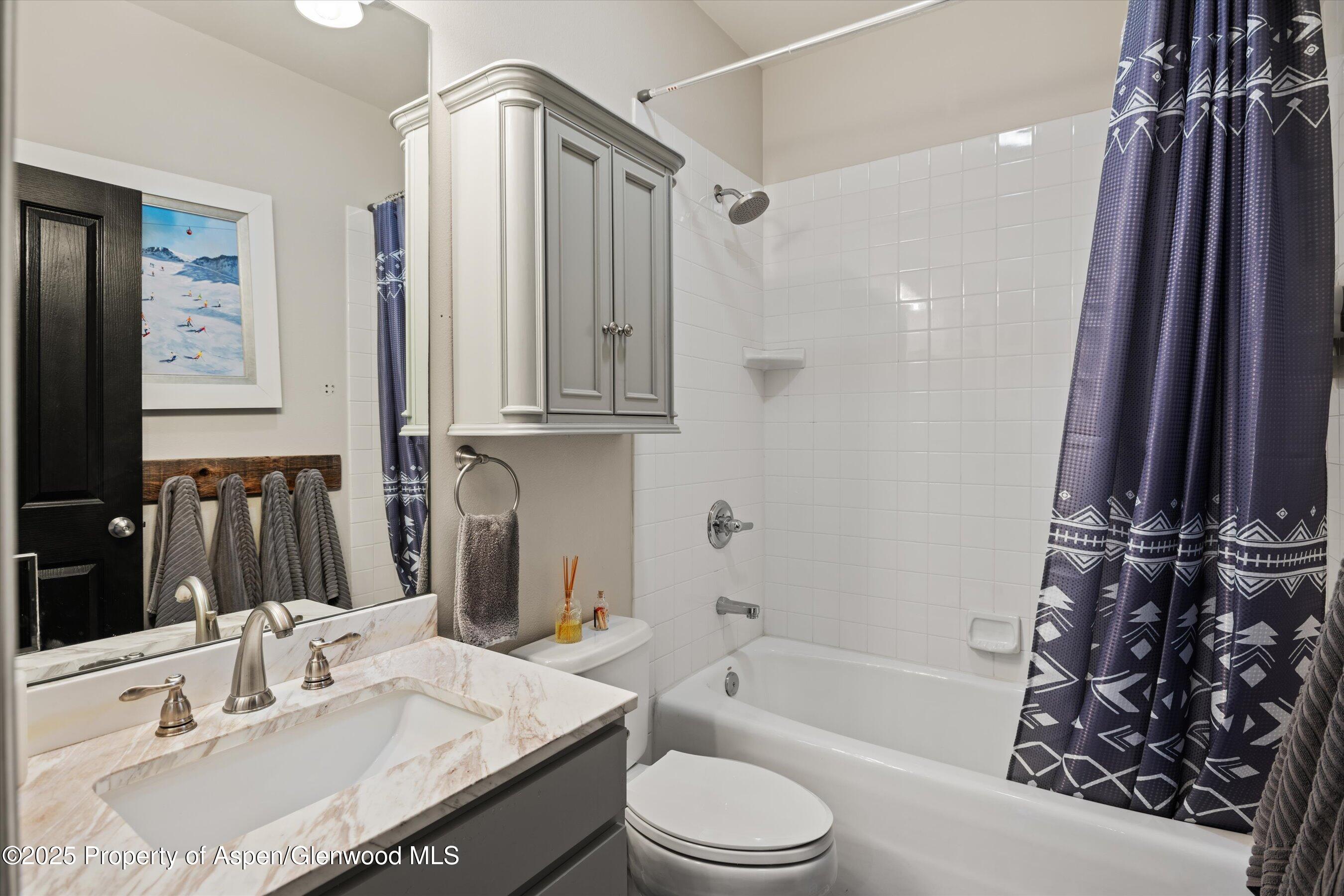 712 Evans Court Basalt, CO 81621 - Photo 13 of 23 a bathroom with a sink a toilet a mirror and shower