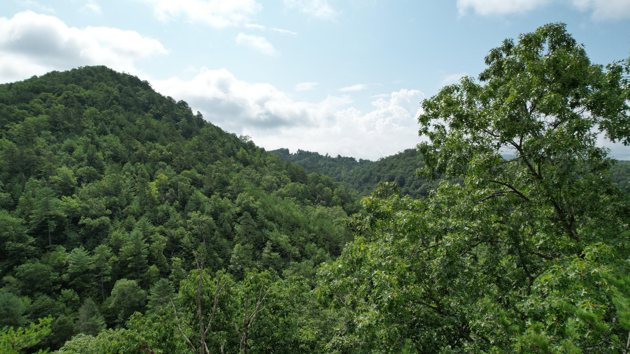 98 Black Powder Lane Sevierville, TN 37862 - Photo 11 of 30