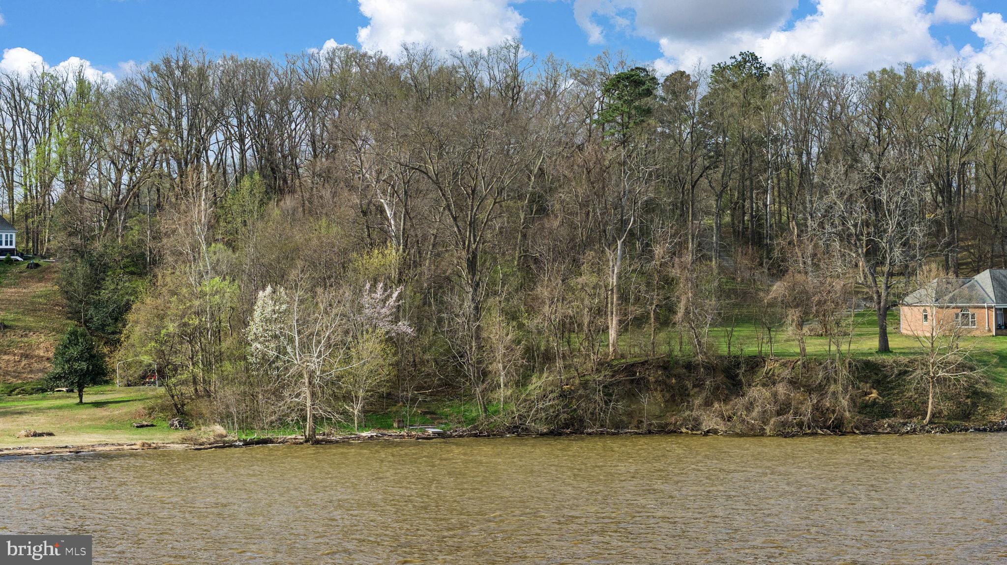 Portobago Trail Port Port Royal, VA 22535 - Photo 20 of 25 a view of a yard with trees