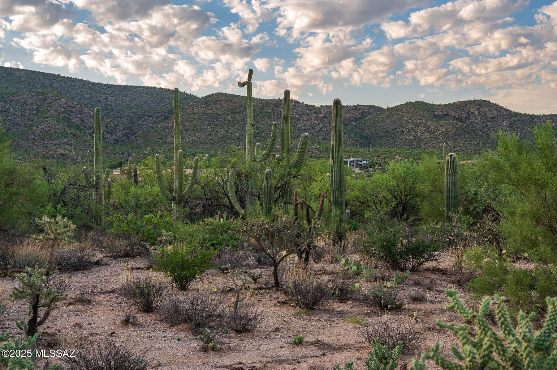 12550 East Horsehead Road Tucson, AZ 85749 - Photo 16 of 29