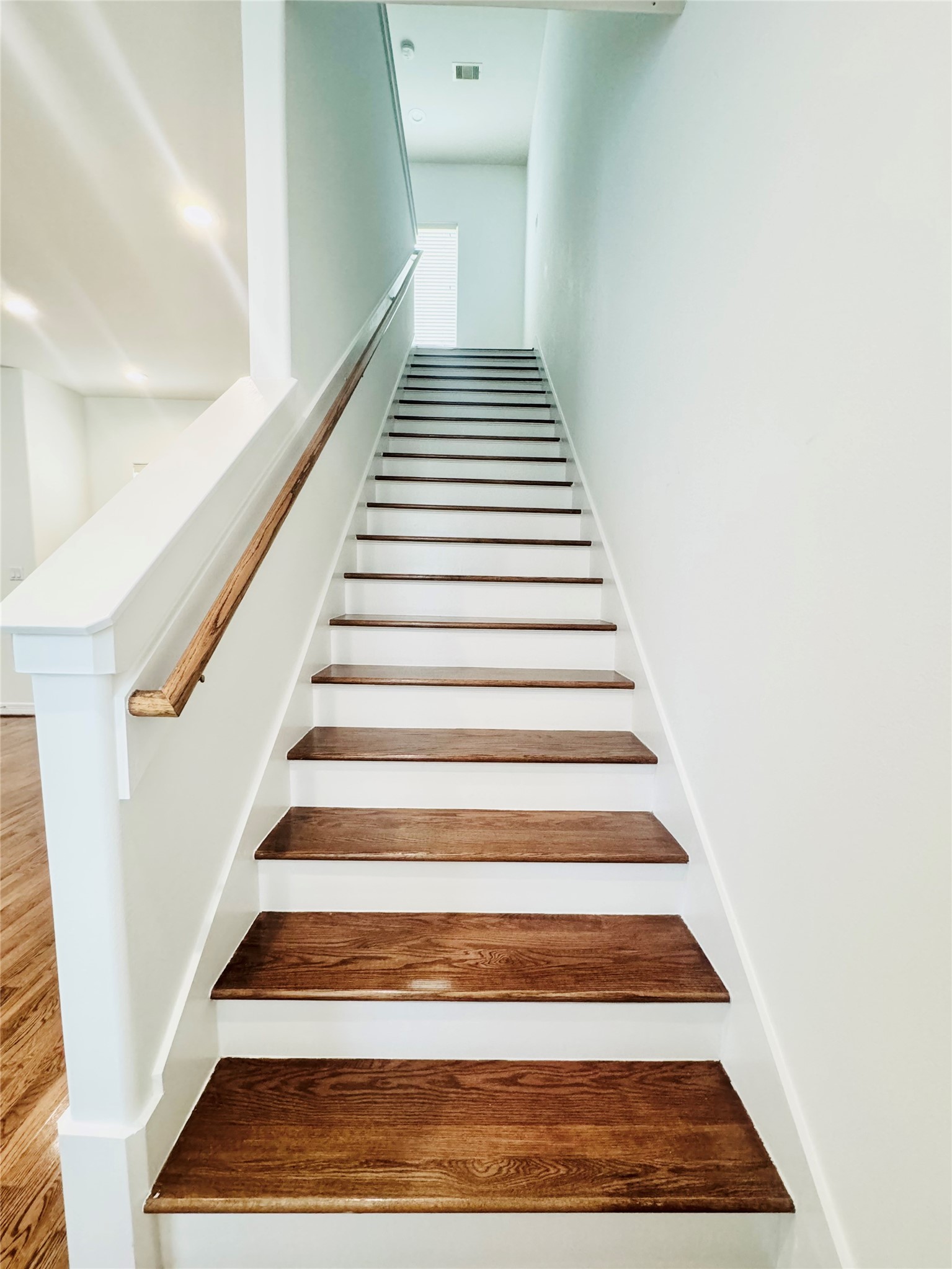 3846 Center Street Houston, TX 77007 - Photo 23 of 37