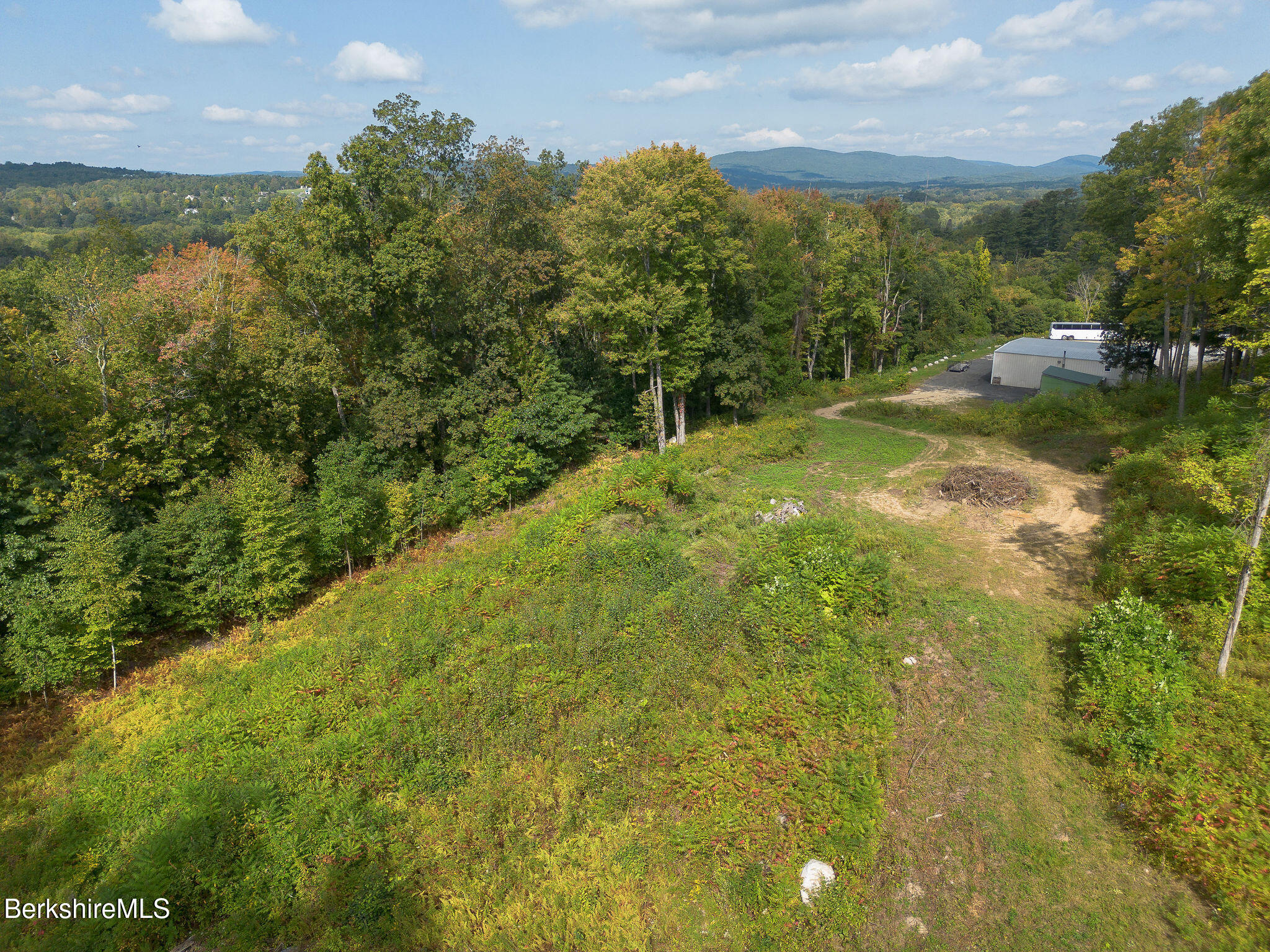 11 Roger Road Great Barrington, MA 01230 - Photo 1 of 20 a view of a big yard with large trees