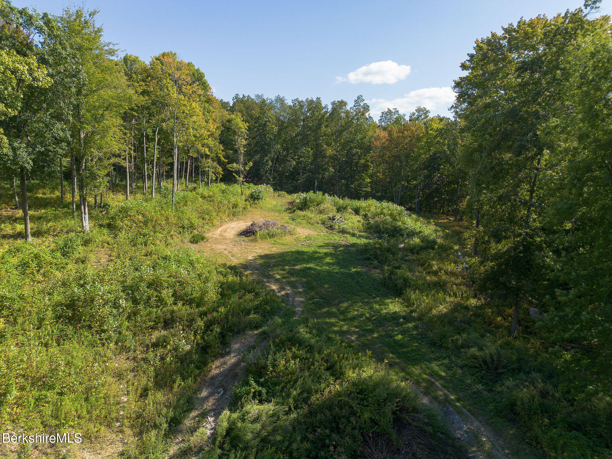 11 Roger Road Great Barrington, MA 01230 - Photo 3 of 20 a view of a yard with a tree