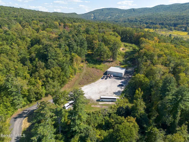 a view of a lush green forest with trees and some houses