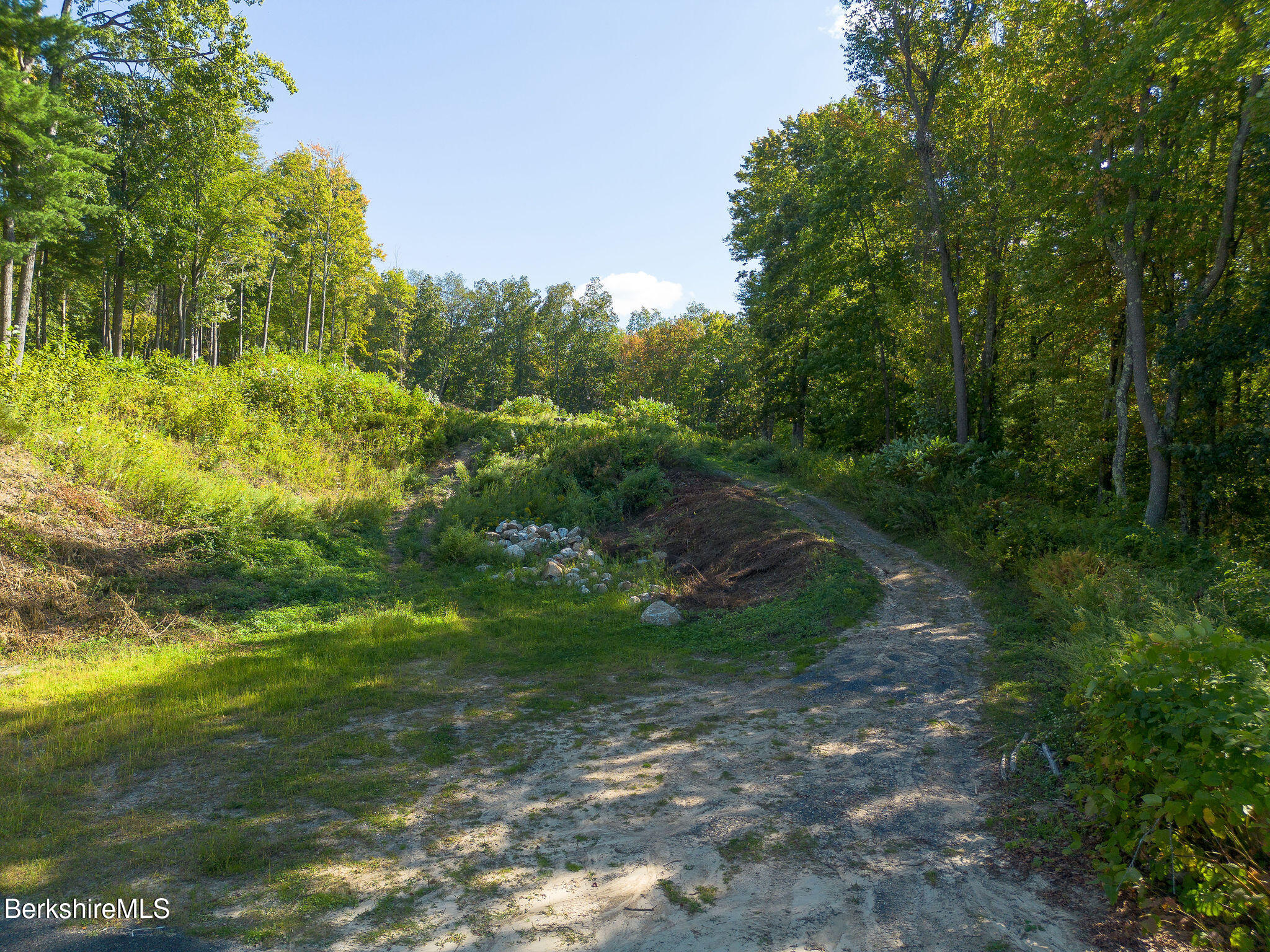 11 Roger Road Great Barrington, MA 01230 - Photo 7 of 20 a view of outdoor space and yard